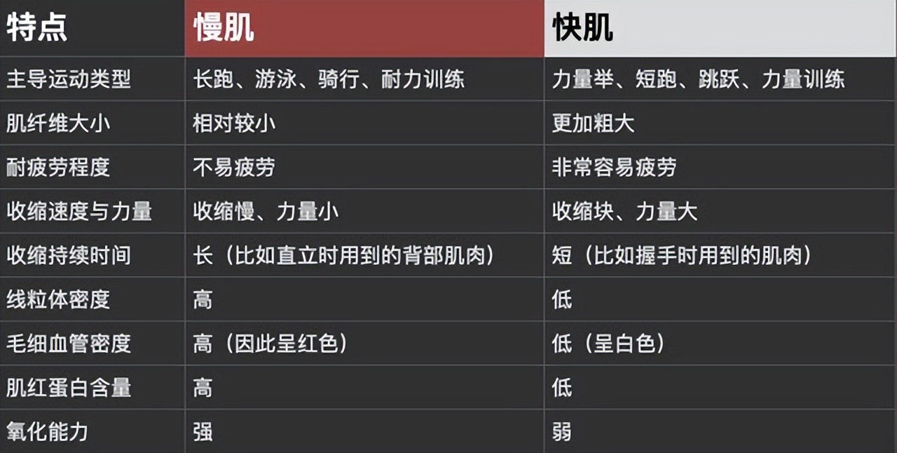 舌头是最强韧有力的肌肉，为什么人类不进化出用舌头打架？