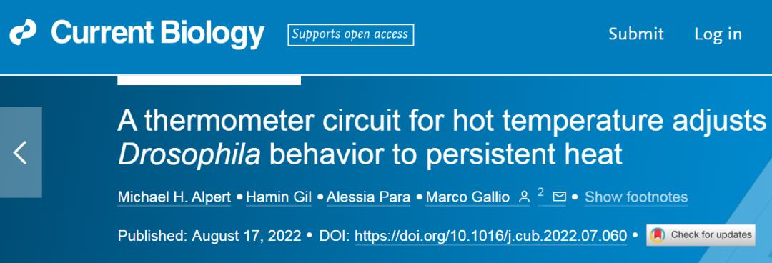 天热为什么瞌睡,为什么天热容易犯困