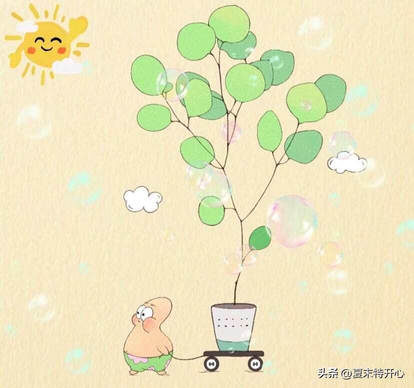 儿童笑话大全笑到肚子疼视频,100个笑得肚子疼的笑话故事