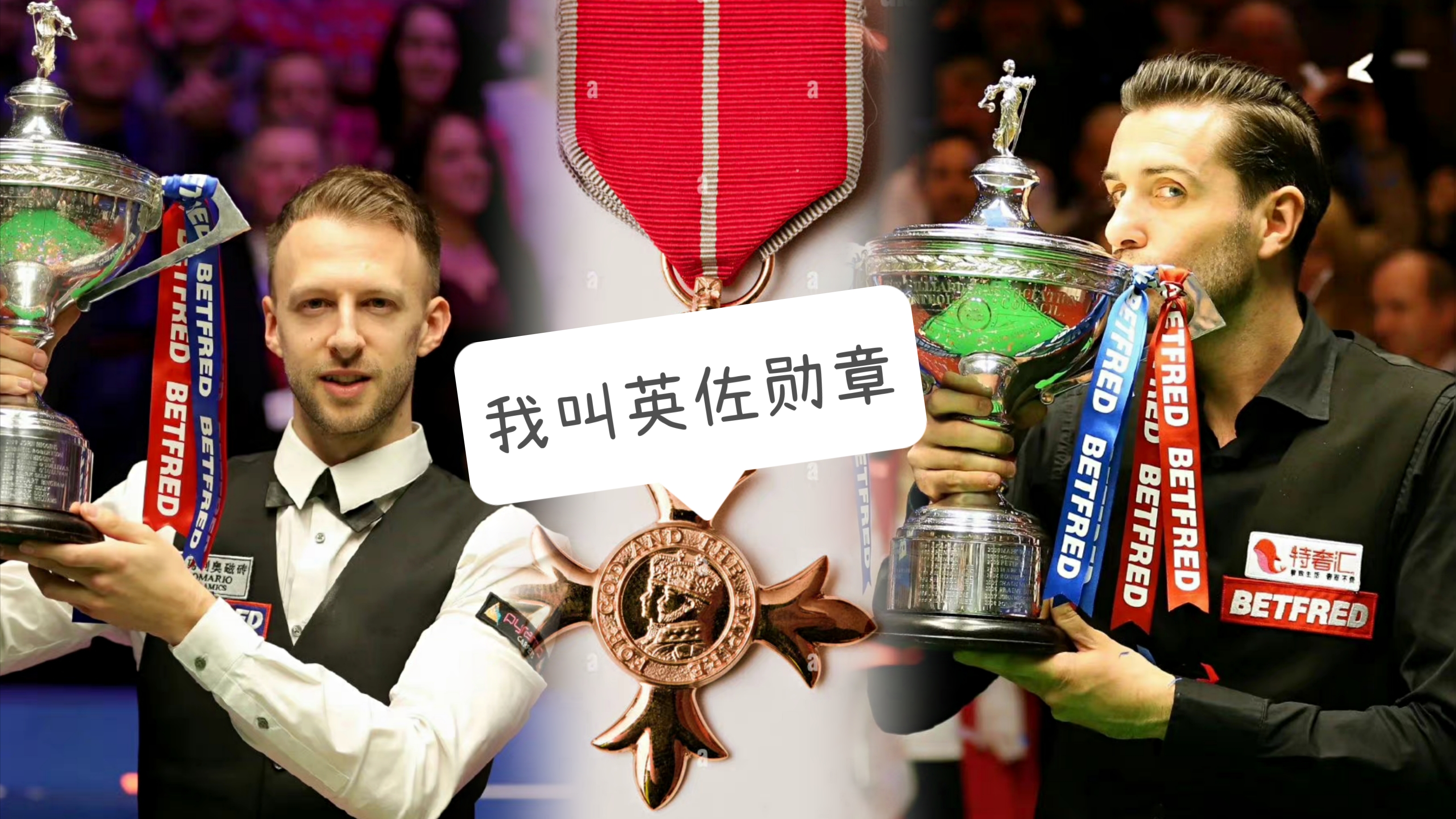 丁俊晖获得荣誉,丁俊晖获得的大奖