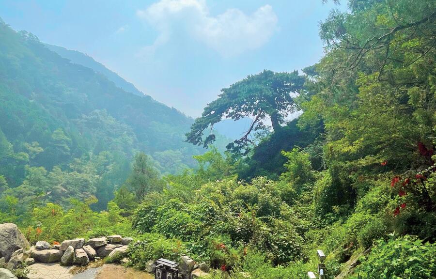 巍峨秀美魅力泰山,天下泰山最美泰安