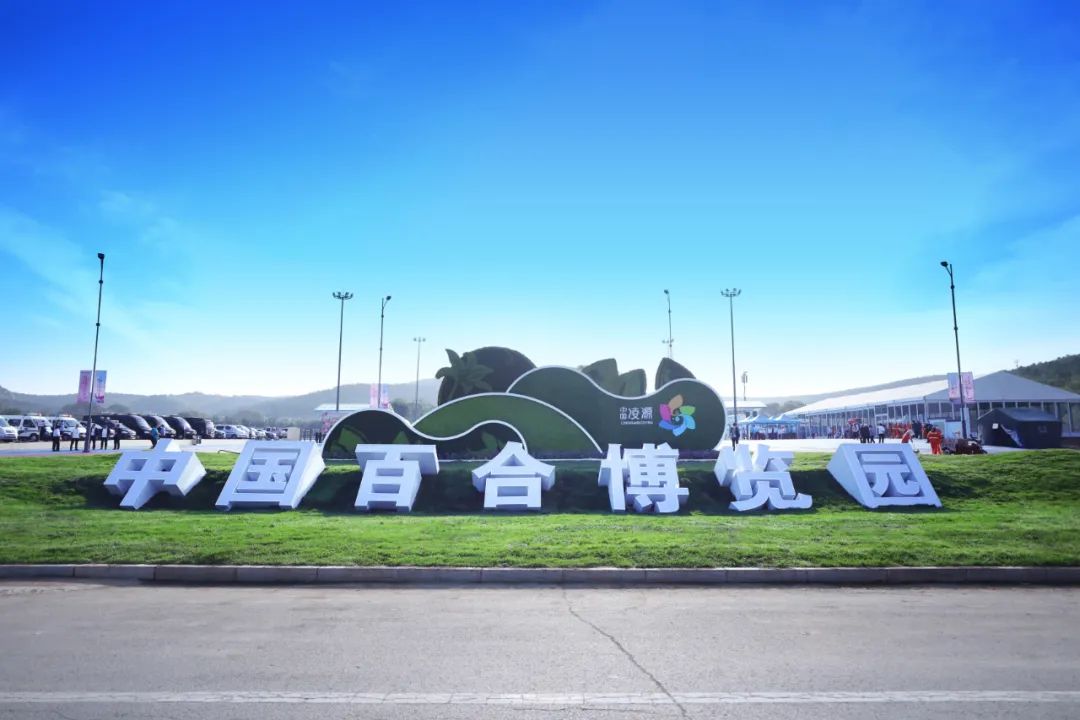 南非新娘花季节,南非的新娘花