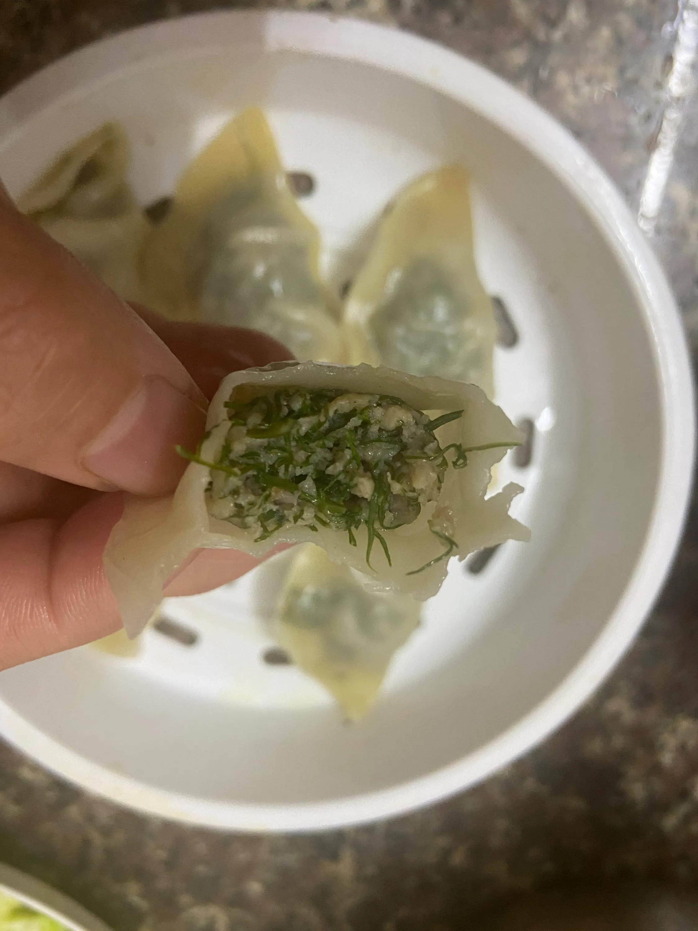 为什么南方的茴香与北方的不一样,茴香广东可以种吗