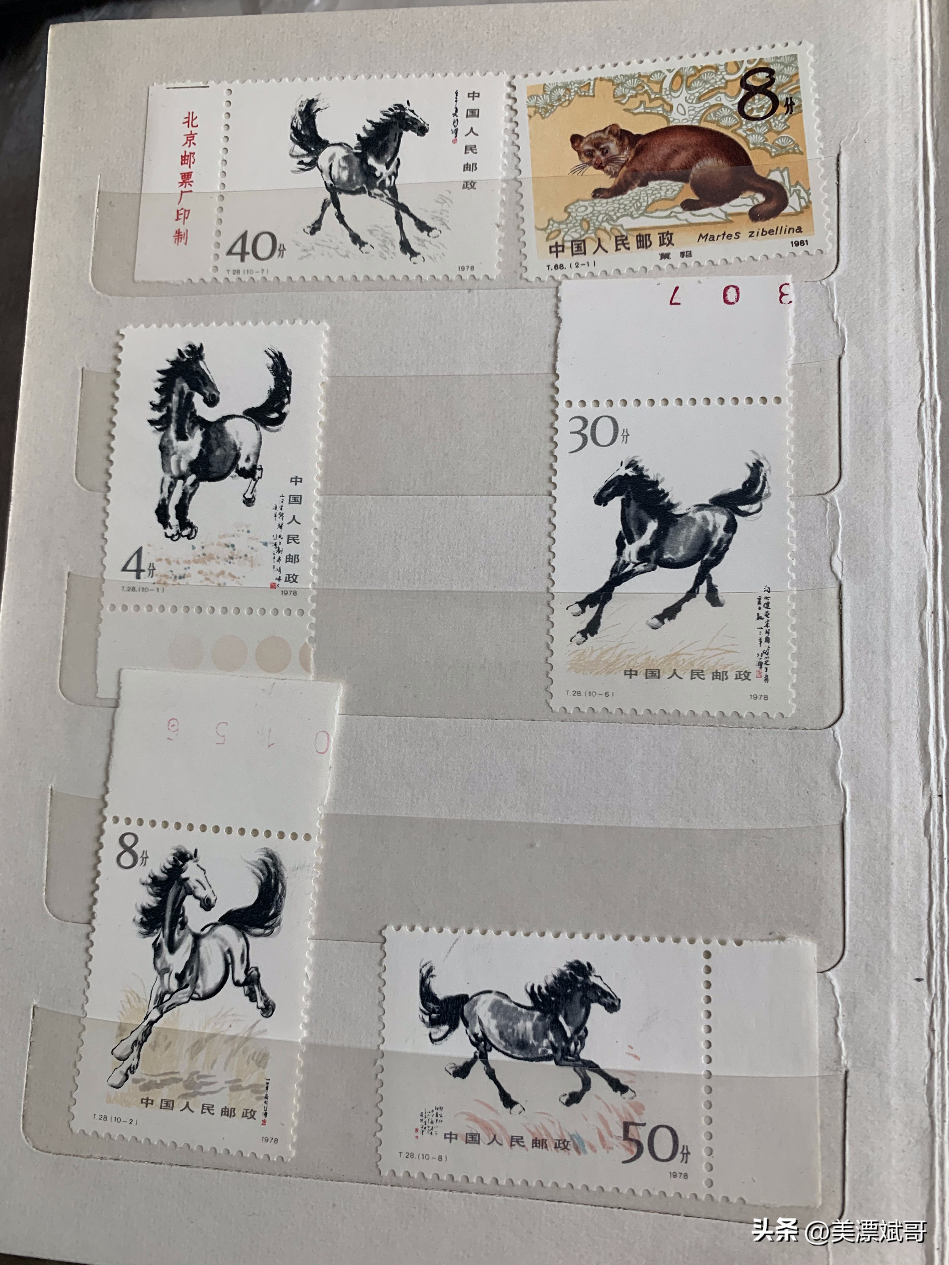 海淘购买开箱,海淘快递盲盒