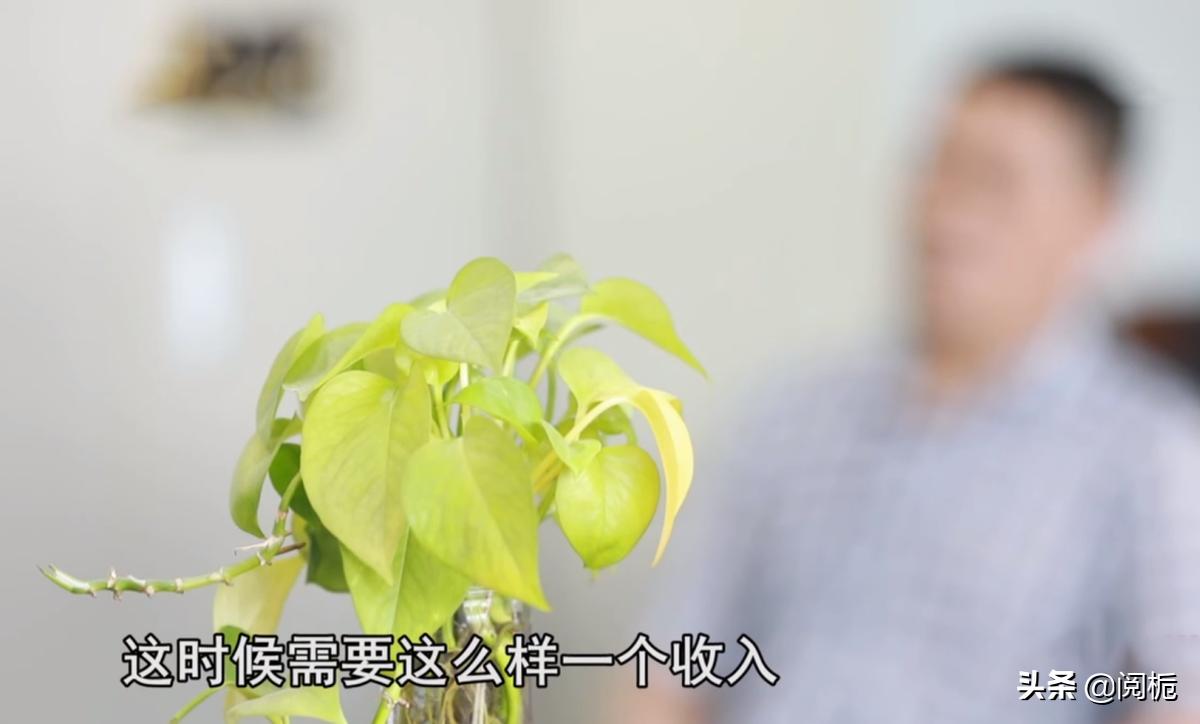 宝妈被骗串珠子,宝妈串珠子被骗