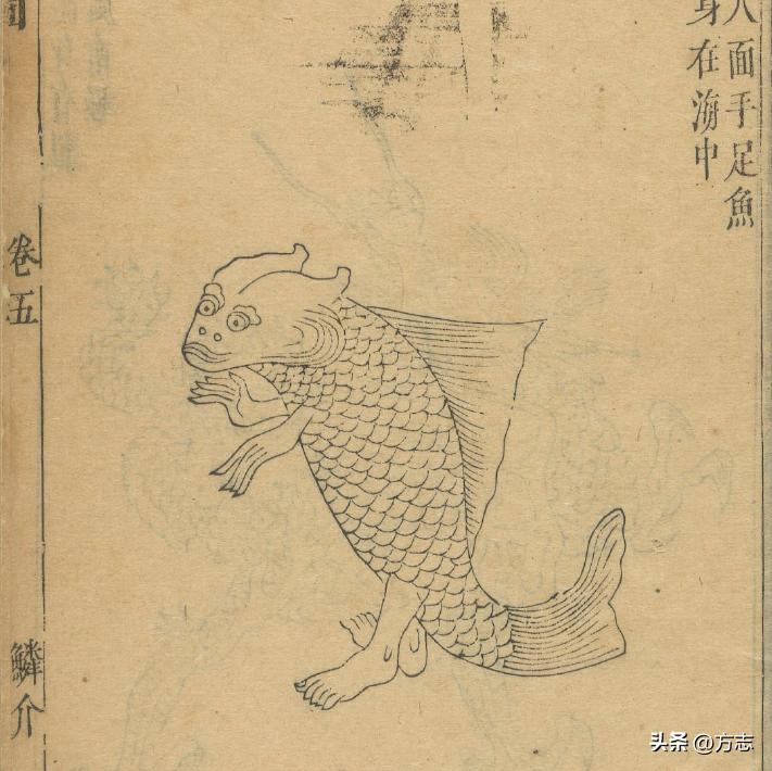 魑魅魍魉是几种妖怪,魑魅魍魉是几个神兽