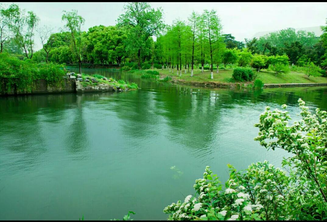 中华诗词日历2024最新,中华诗词2023第7期