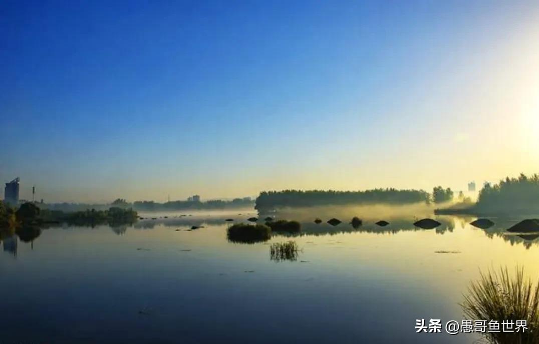 丹江口禁渔2018筏钓,丹江口筏钓被禁钓了吗