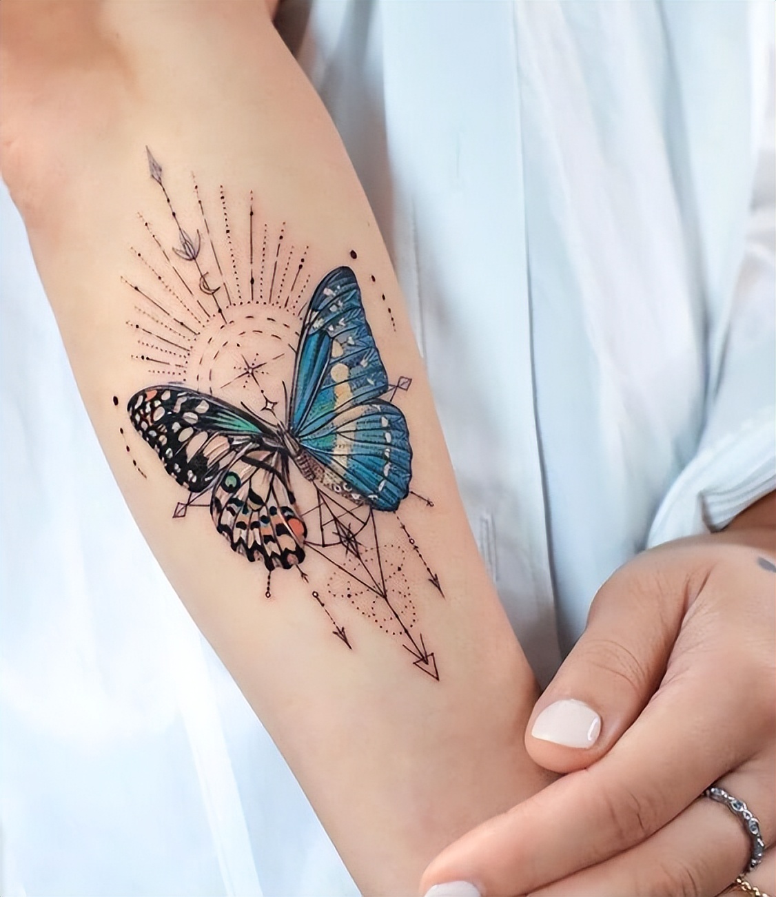 一半蝴蝶一半蛇纹身,动物图案蝴蝶印花图片