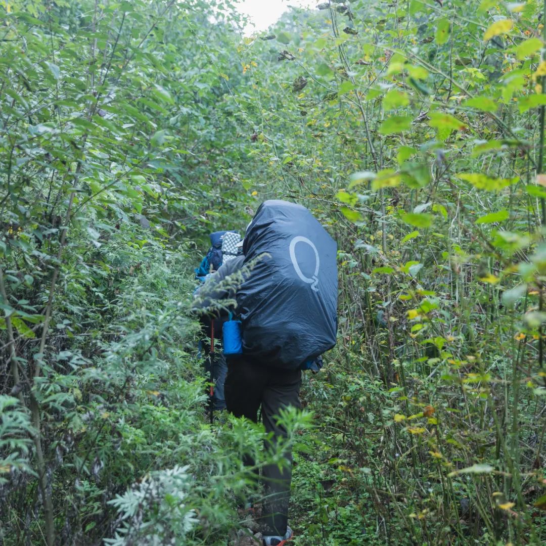登太白山感受,太白山景区登顶拔仙台