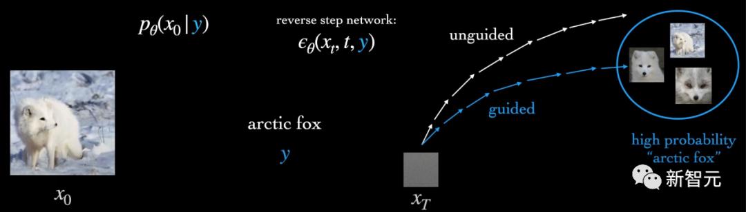 赫敏穿越,赫敏与龙妈