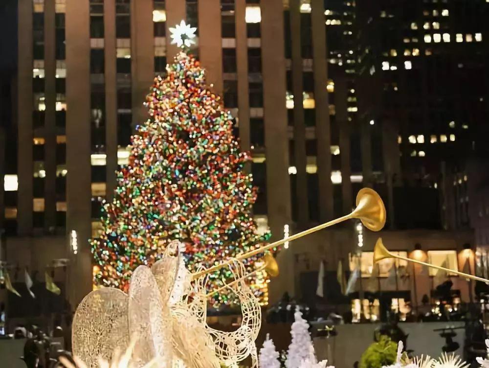 美国的摇钱树，收集到这种昂贵的树脂，就能轻松月入百万