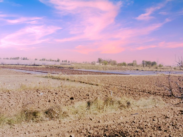 农民土地流转费,农村土地一次性流转多少钱一亩
