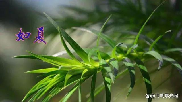 怎么刷自己的信用卡,自己怎样玩转信用卡