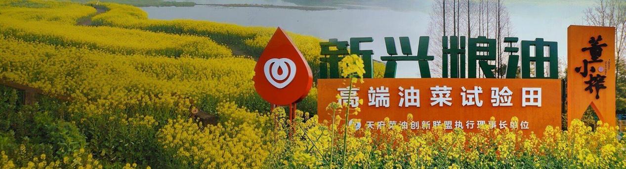 新兴粮油菜籽油测评,新兴食用油