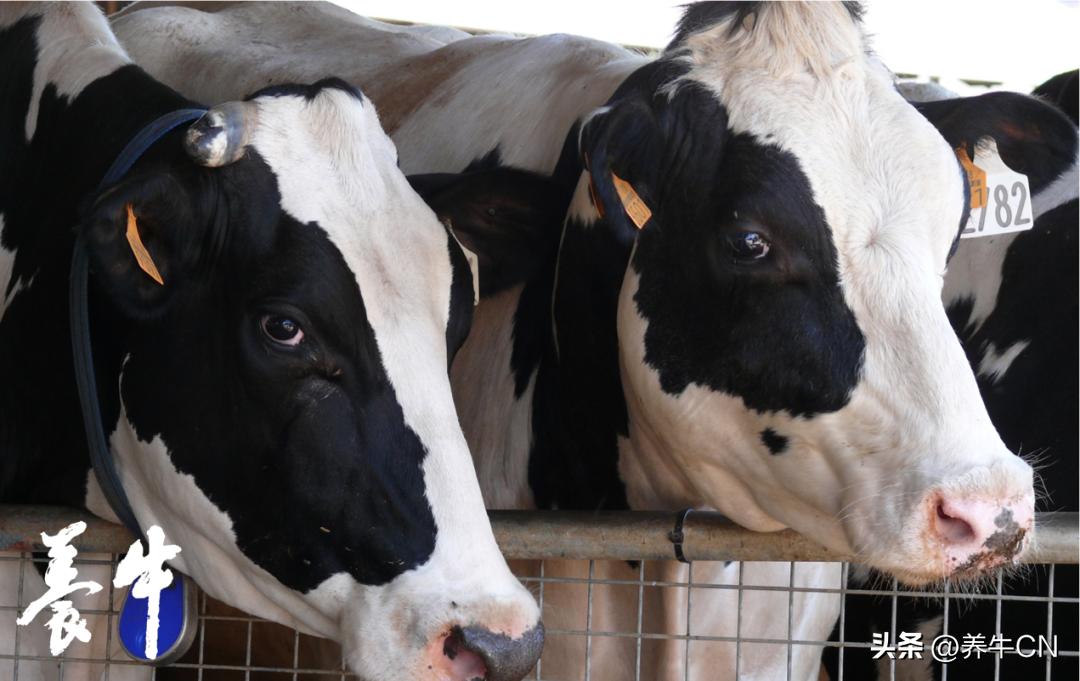 成为更优秀的人,成为更优秀的女性