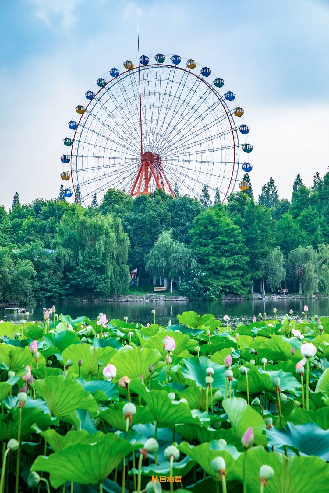 鍚堣偉涔嬪缃戠粶绉戞妧鏈夐檺鍏徃,鍚堣偉涔嬪