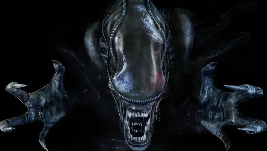 如何评价契约论,吐槽异形契约