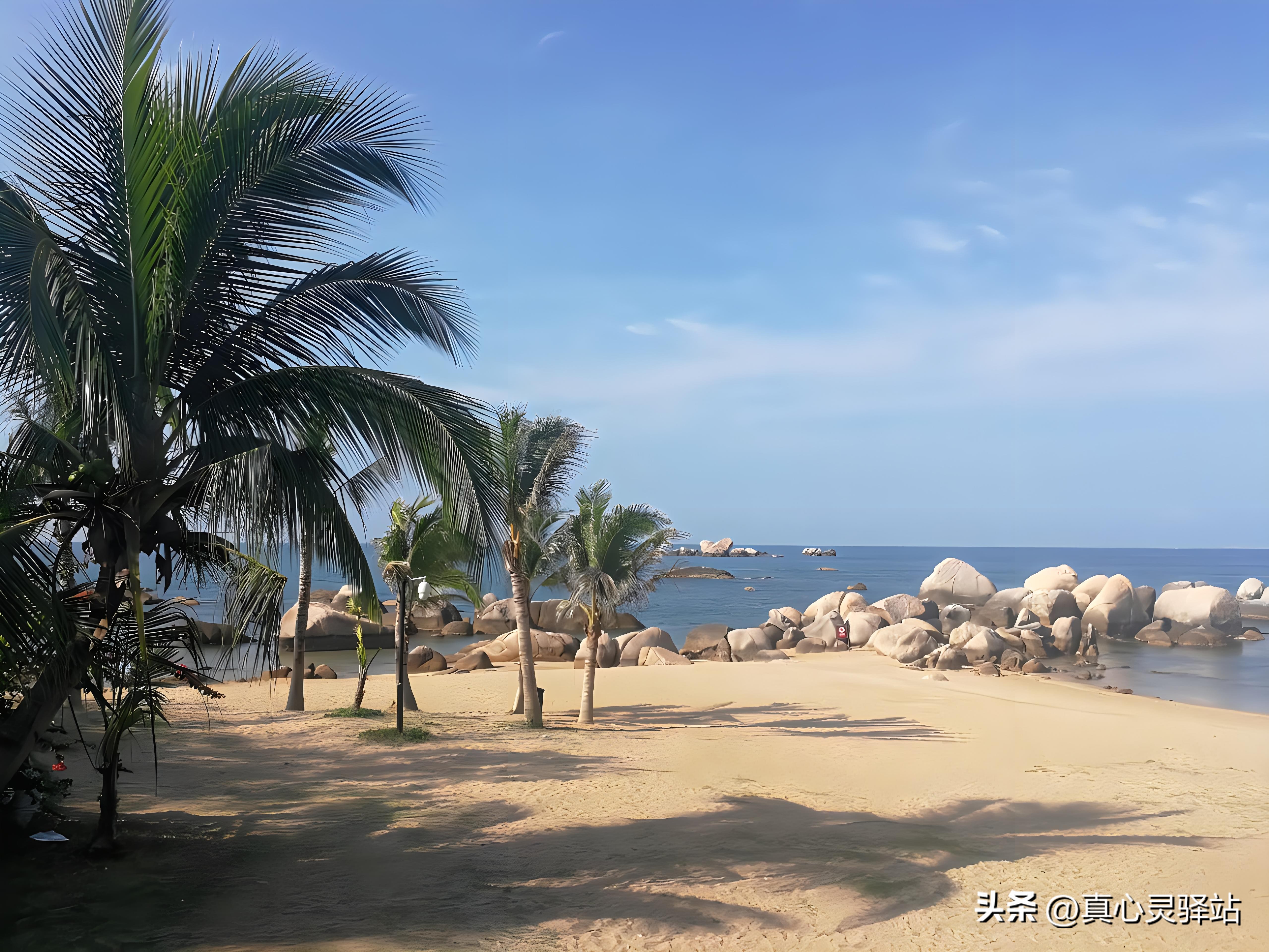 一次49元的免费游，为了20斤蔬菜，差点陷入财务危机，太惊险了