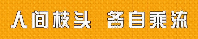 张译最接近真实的一场戏,张译的接吻戏有哪些