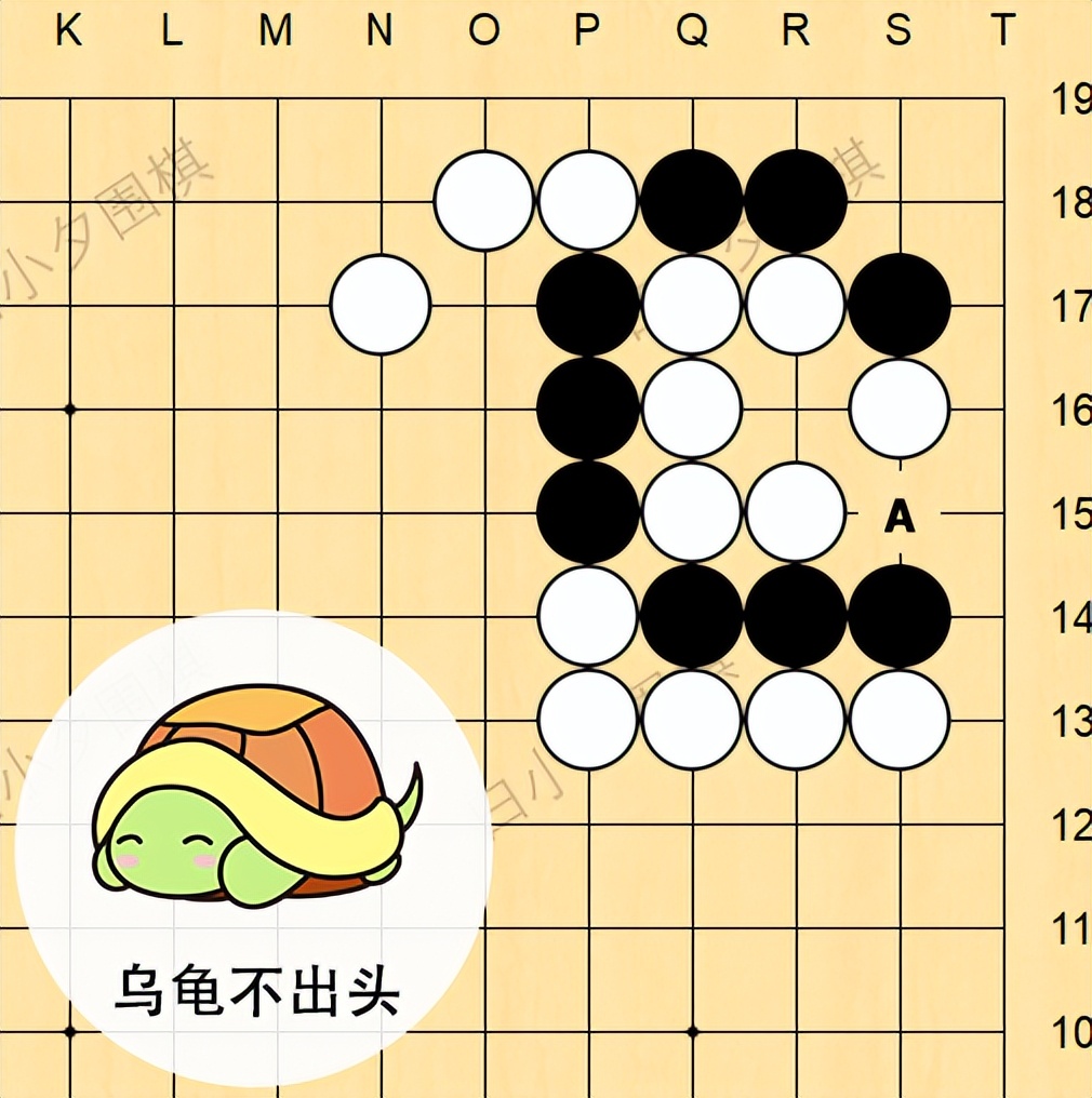 围棋里的动物术语,围棋关于蛇的技巧