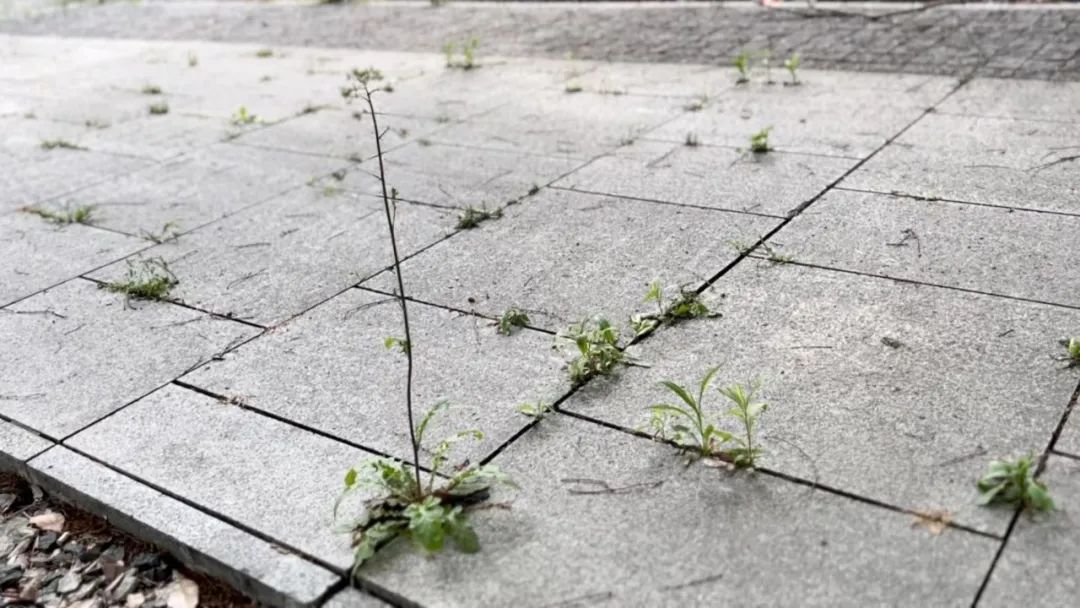 疫情下艰难生活的打工者,疫情下艰难生存的90后创业者