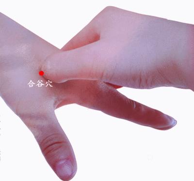 中医必知81个特效穴,一病一穴学中医必知的81个特效穴