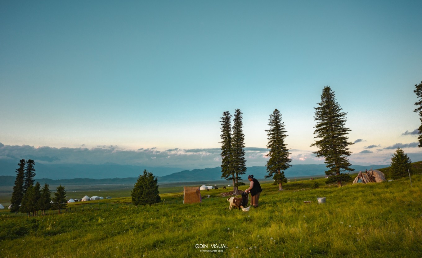 去新疆发现伊犁的美,世界之美尽在伊犁