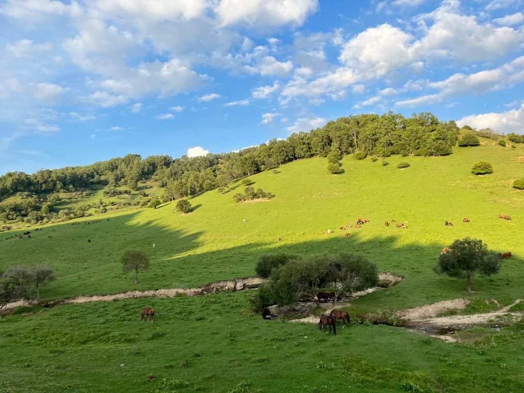 在西安玩五天去哪玩,在西安旅游五天