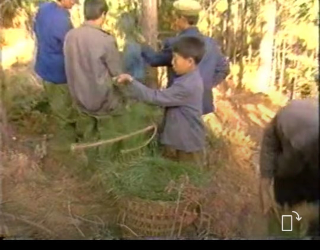 德昌傈僳族的风俗,德昌傈僳族之服饰文化