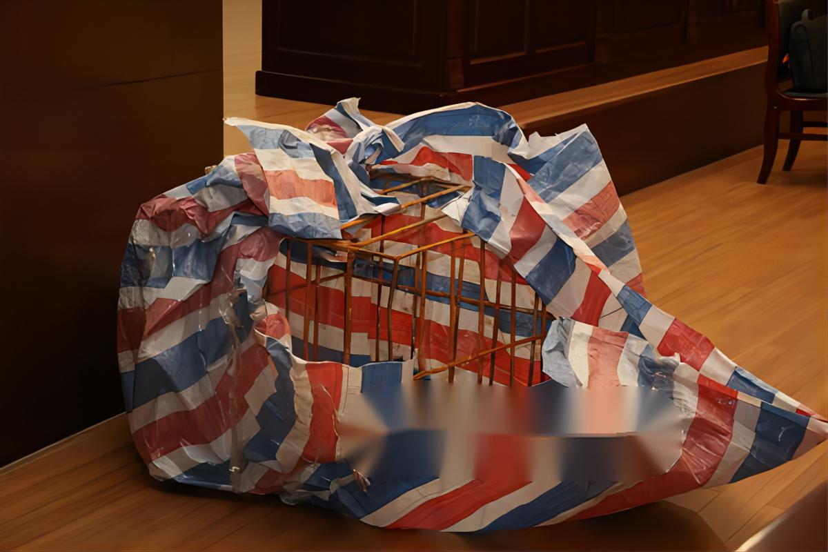 千峡湖铁笼沉尸案纪实,今日说法浙江千峡湖铁笼沉尸案