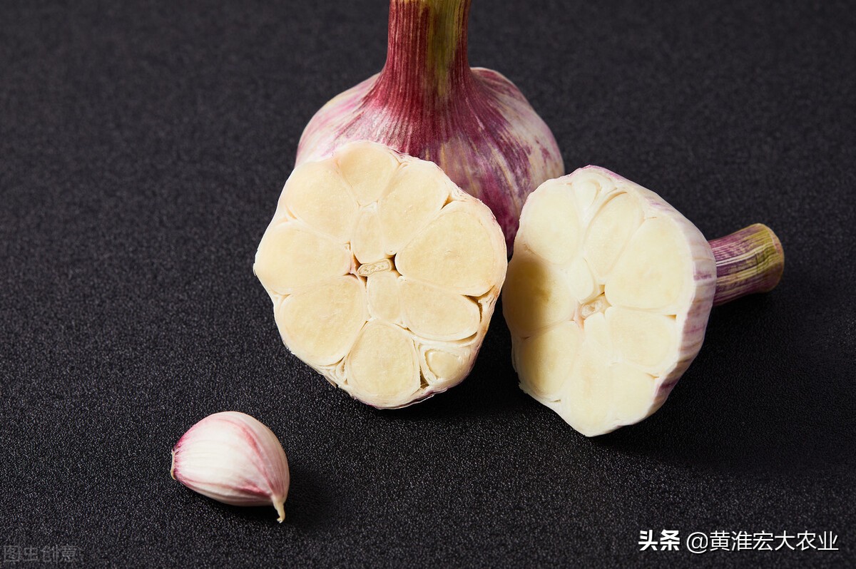 大蒜价格下行预期,2022年大蒜价格为什么下滑