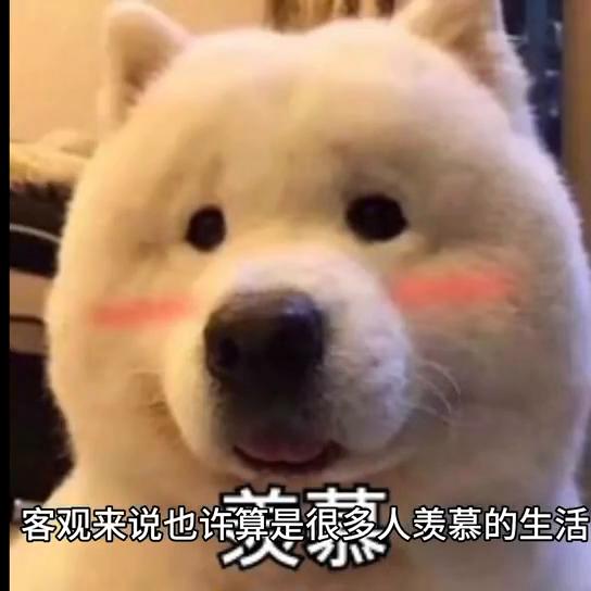 他（她）对你怎么样？#每日一问