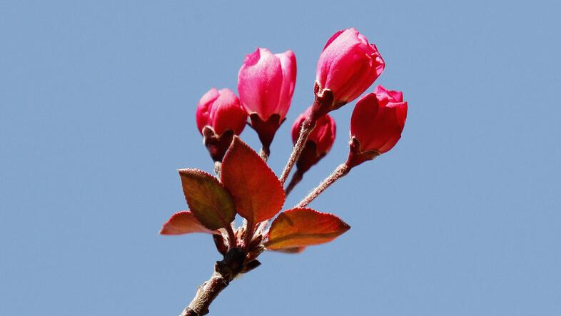 离开多年工作岗位应说些什么,离开现在的岗位去一个新岗位好吗