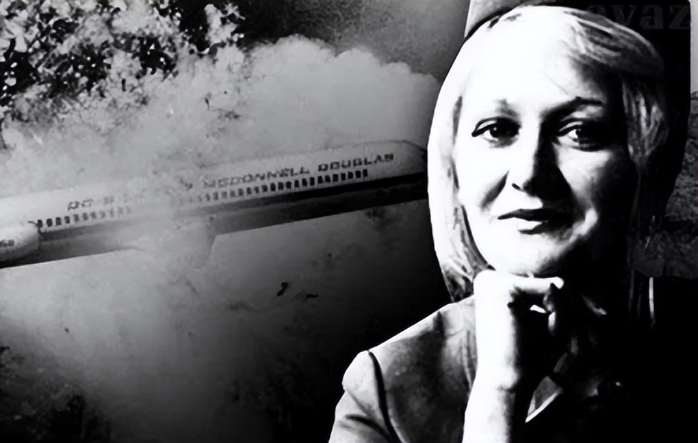 2014年飞机坠落事件最新消息,2005飞机坠落事件