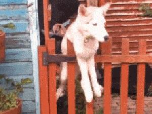 朋友圈高质量装x的图片,朋友圈装x图片