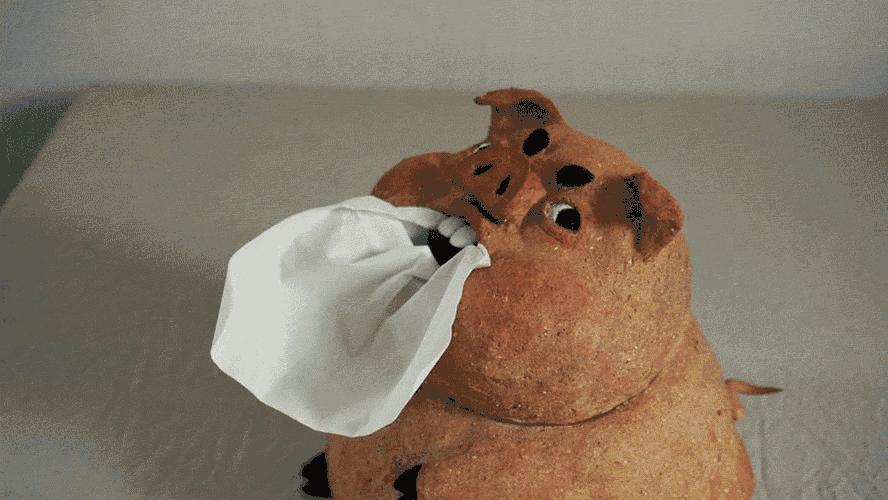 新年都要买什么礼物,大家新年礼物都送什么