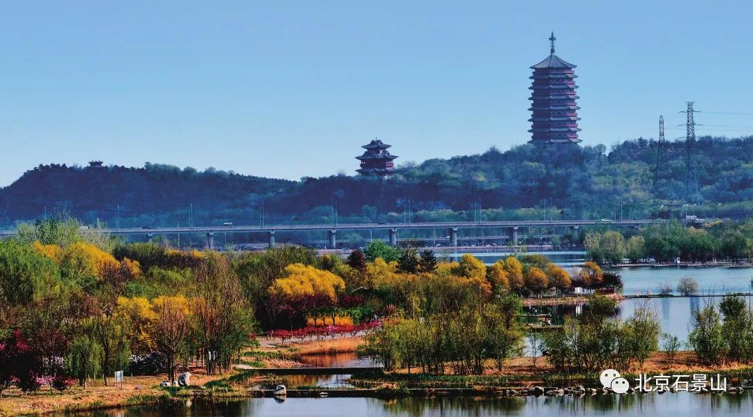 五年蝶变守护碧水展新姿,五年蝶变展芳华