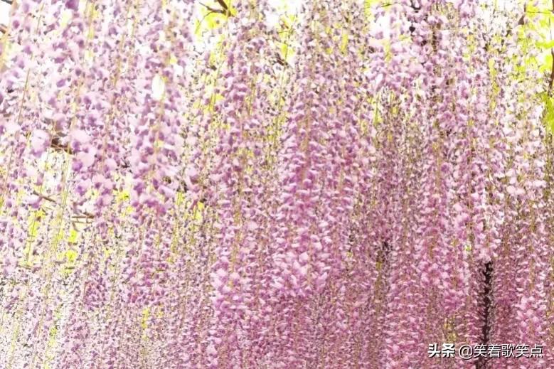 小小说：真是病得不轻