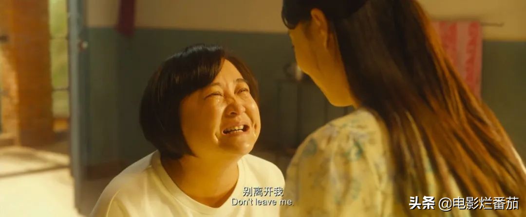 悬崖之上和长津湖哪个好看,长津湖与悬崖之上哪个票房高