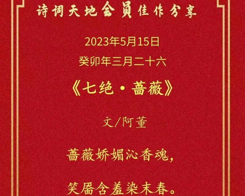 到底是糊涂还是迷途,到底什么是糊涂