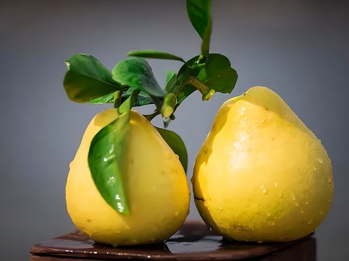 井冈蜜柚怎么种植,吉安县井冈蜜柚基地