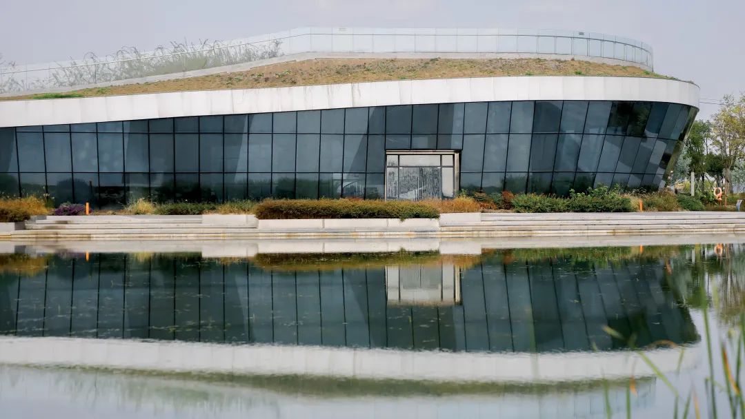 闄嗗啿杩愬姩瑙嗛,闄嗗啿楠戣