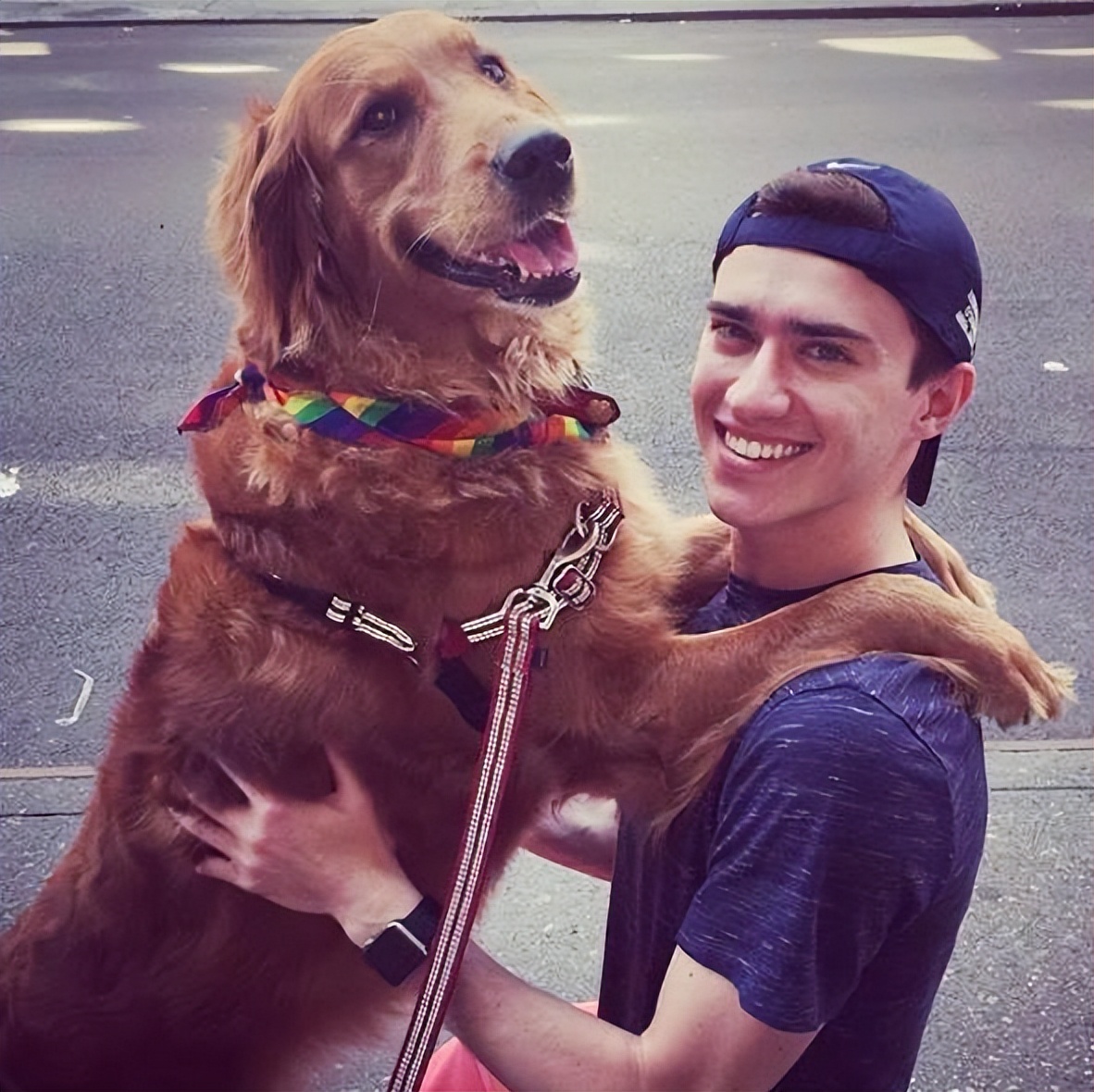 狗狗脓皮症最有效的治疗办法,狗狗异食癖有什么解决办法