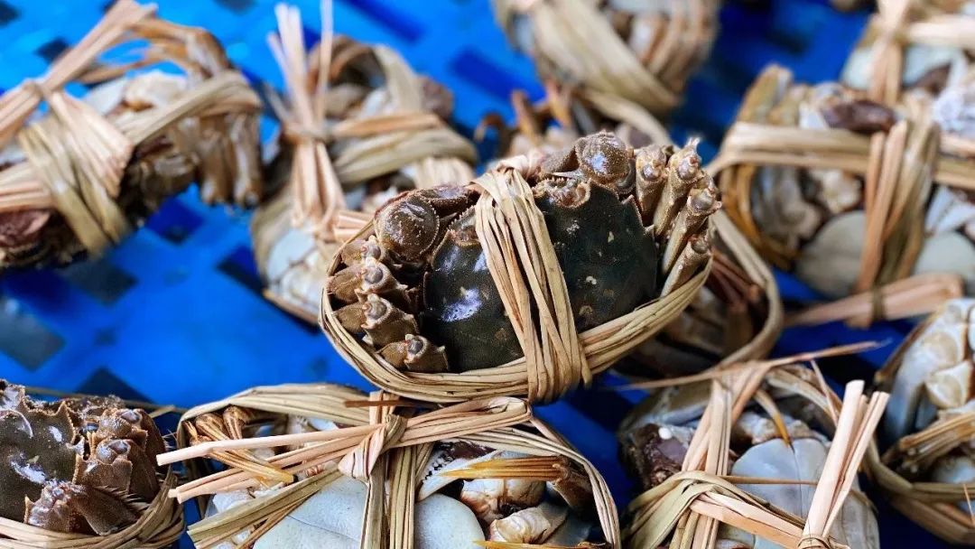 拼多多大闸蟹店铺推荐,拼多多超大青蟹要多少钱