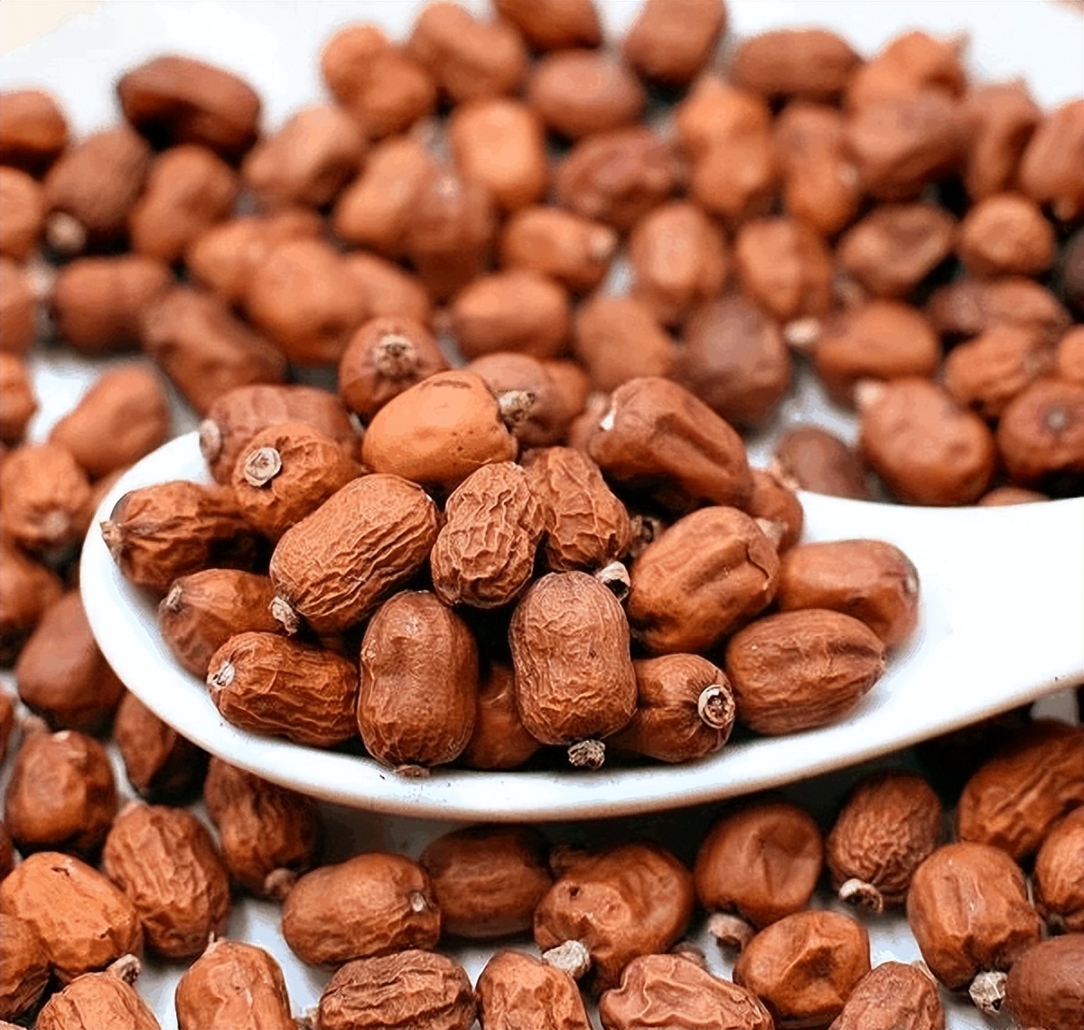 肉蔻白蔻和豆蔻这几种香料的功效,豆蔻和白豆蔻是一种香料吗