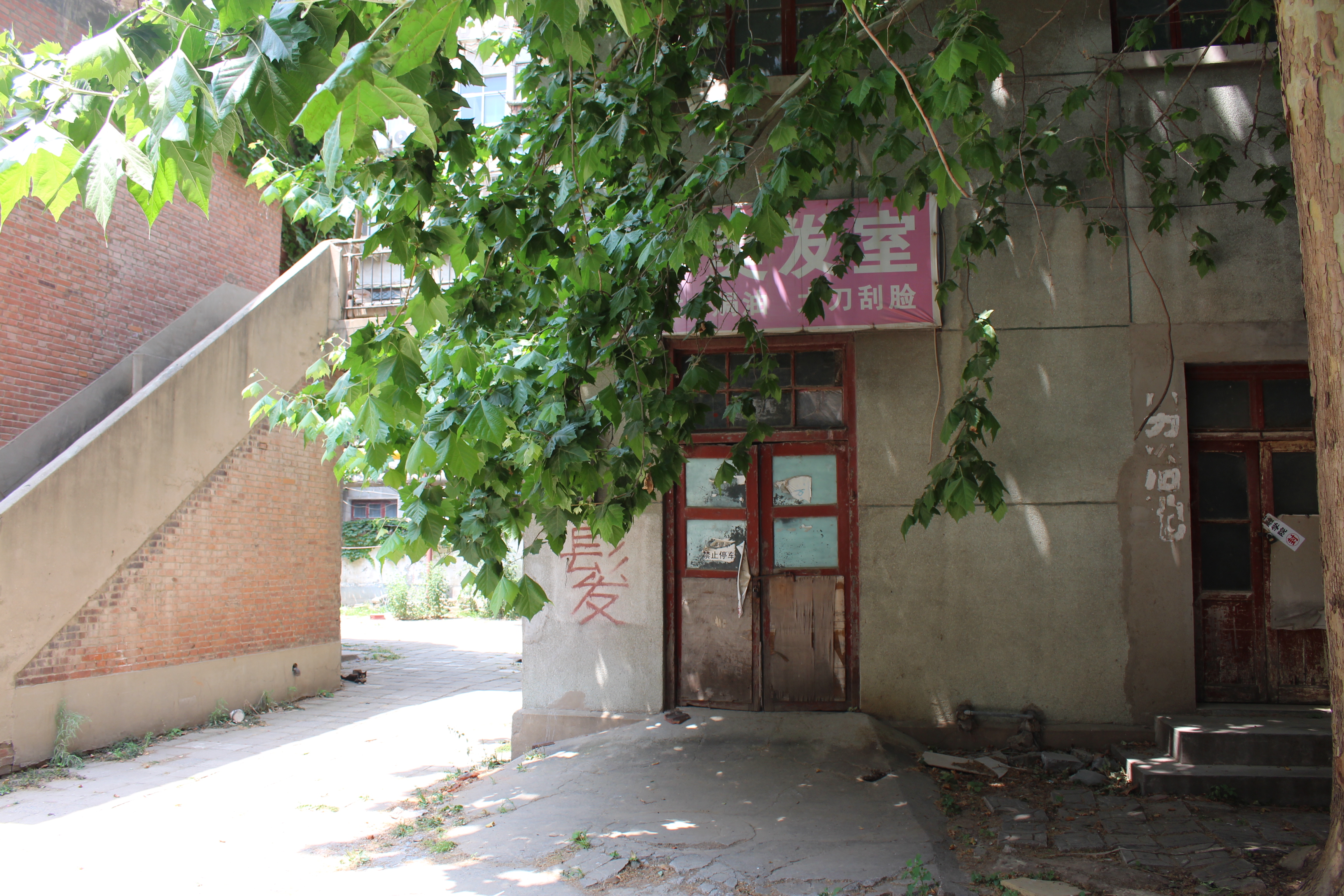 涓笀鐢熺殑鍘嗗彶鍥炲繂,涓笀鐢熷洖蹇嗗綍鍏ㄦ枃