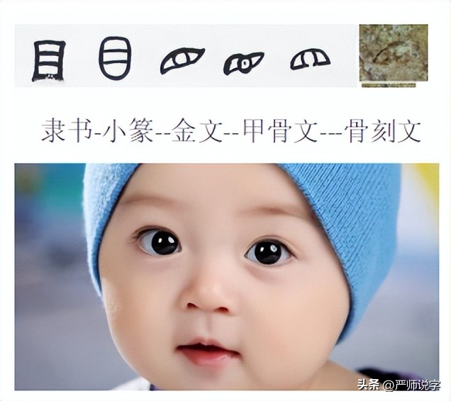 常用汉字偏旁部首名称大全完整版,汉字偏旁部首名称表最齐全最完整