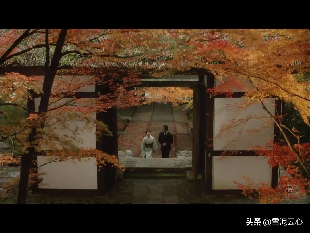 时雨之记电影讲解,时雨之记完整版