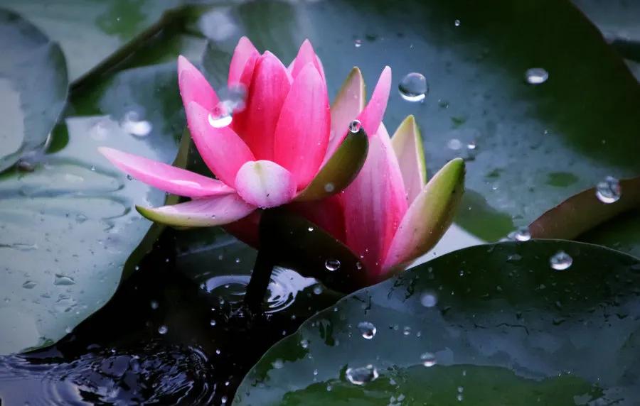 开小吃店需要学会哪些菜品,想开小吃餐饮店有什么推荐